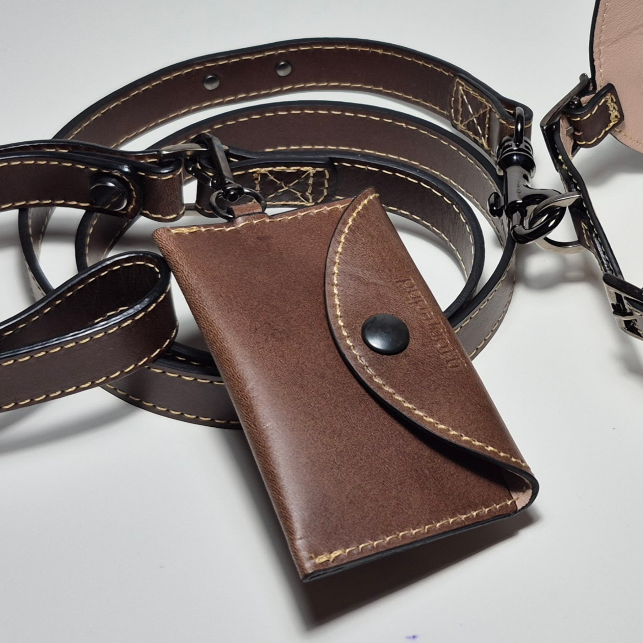 Set Pettorina e Guinzaglio in Pelle con Porta Sacchetti